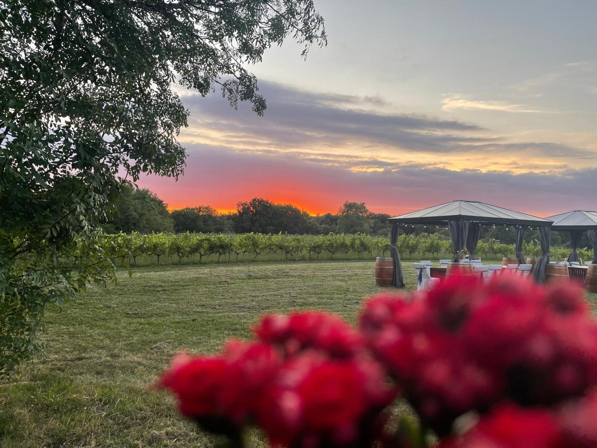 Bordeaux Chateau Lafleur Quinsac  Экстерьер фото